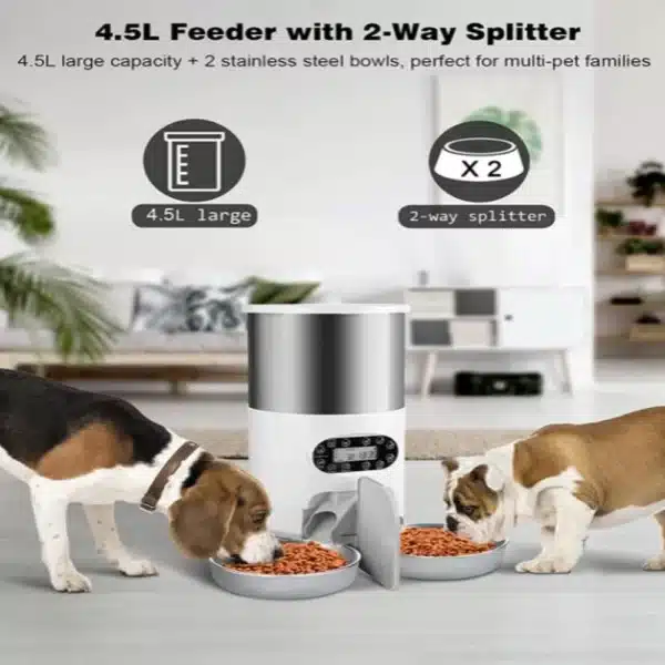 Cats Smart Feedingpe - Image 4