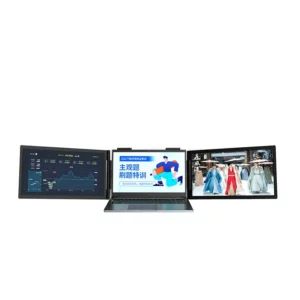 Portable dual monitor