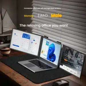 Portable dual monitor